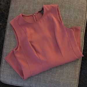 ANN TAYLOR Fitted Blouse